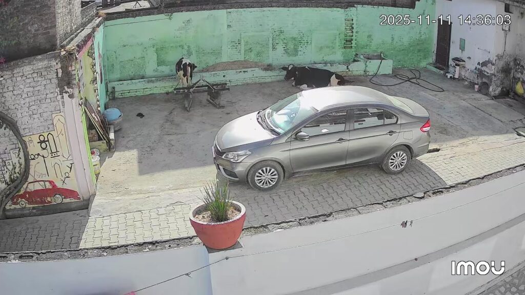 Image #1 from Narayan Thapa Magar